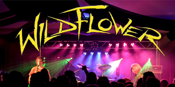 WILDFLOWER