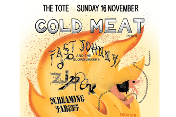 Cold Meat (WA), Zipper, Stepmother & more! Sunday arvo summer punk show + BBQ!