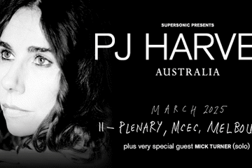 PJ Harvey