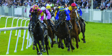 Image for CRJC Premiership Winners Race Day