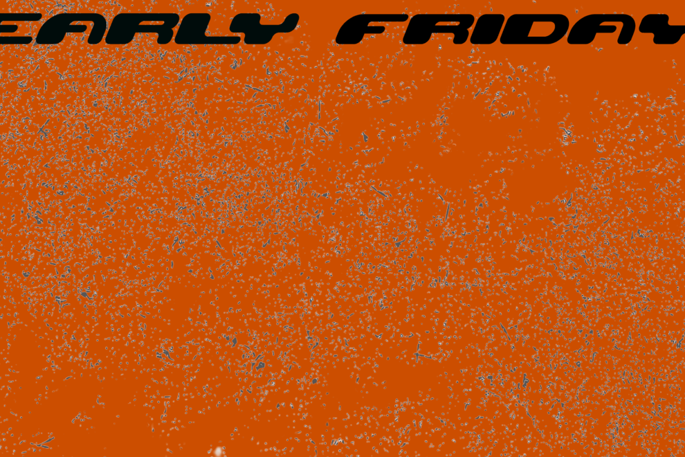 NEARLY FRIDAY + SADIE MUSTOE + CYCAD