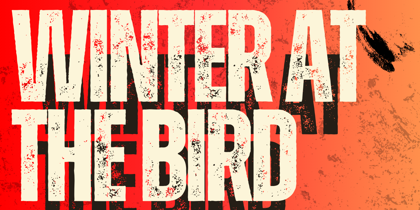 Winter At The Bird