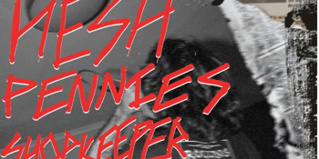 Hesh, Pennies, ShopKeeper and BugMeat