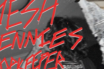 Hesh, Pennies, ShopKeeper and BugMeat