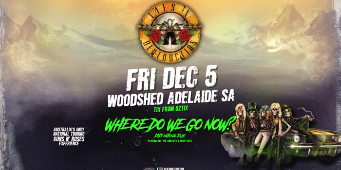 Lies N' Destruction Australia's Guns N' Roses Experience