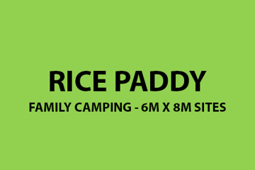 Rice Paddy