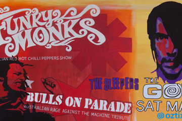 FUNKY MONKS & BULLS ON PARADE