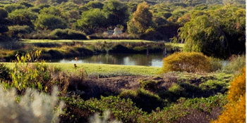 Winter Trails in Boo Park