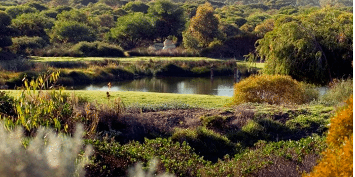 Winter Trails in Boo Park