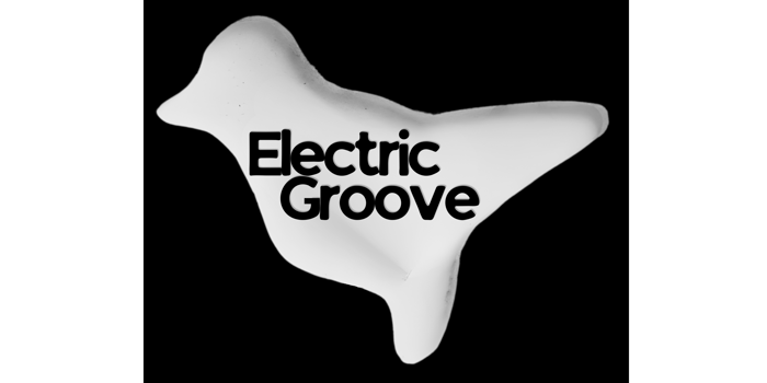 ELECTRIC GROOVE VOL.3