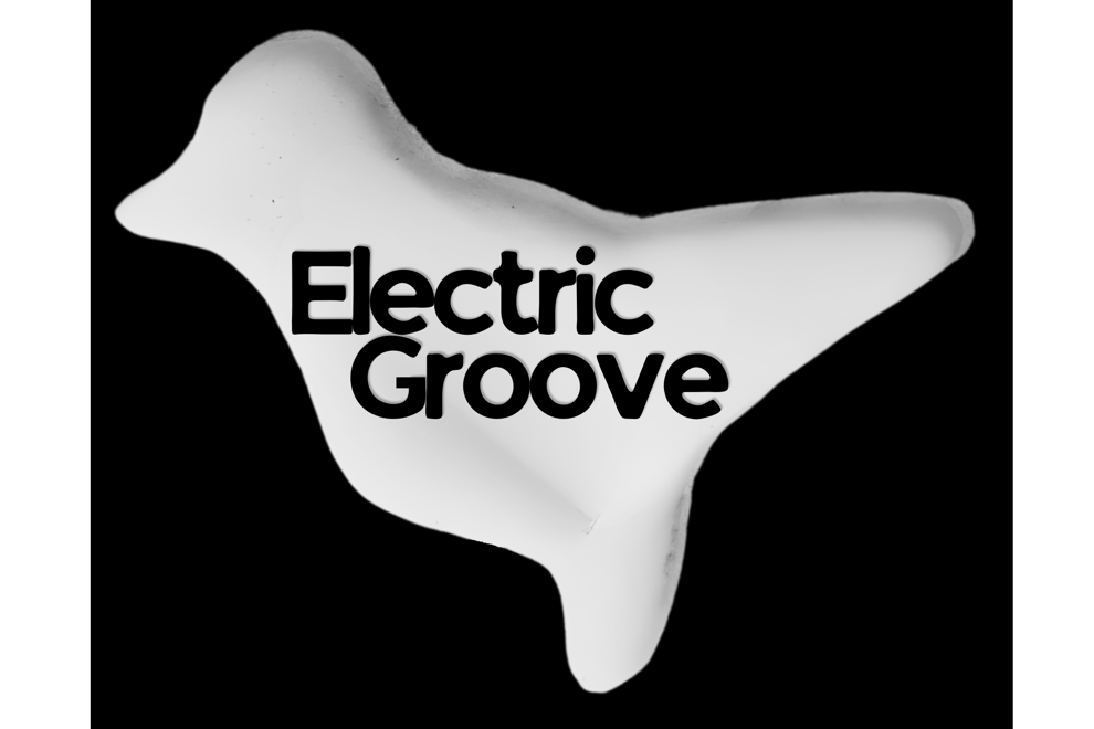 ELECTRIC GROOVE VOL.3