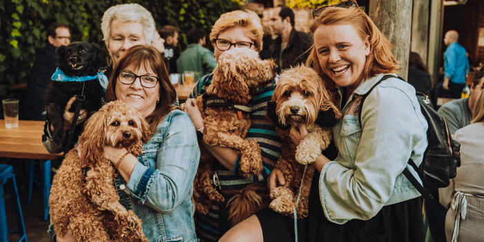Pooch Party: International Dog Day