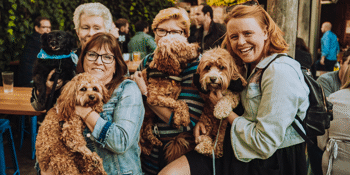 Pooch Party: International Dog Day