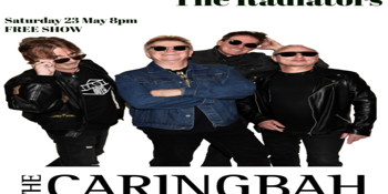 The Radiators