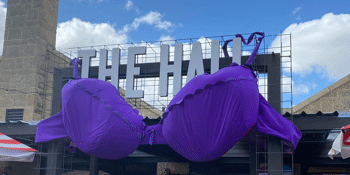 Electrical Industry's Purple Bra Day Fundraiser